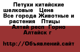 Петухи китайские шелковые › Цена ­ 1 000 - Все города Животные и растения » Птицы   . Алтай респ.,Горно-Алтайск г.